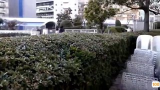 日本成免费人大片在线观看国产一区二区三区免费观看太子探花极品约了个长腿短裙妹子，操翘屁股口交站立后人抽插猛操